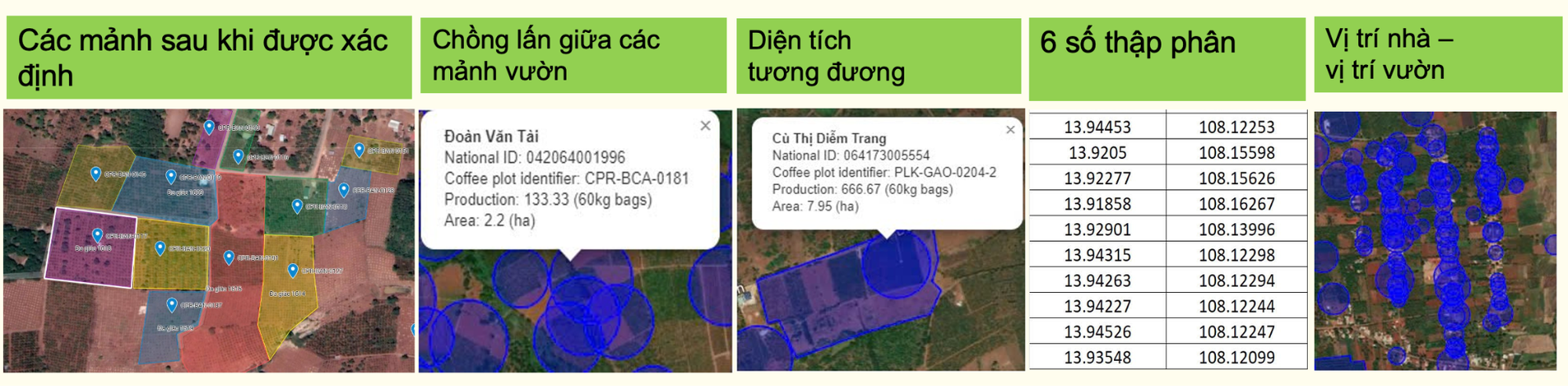 Dàn máy thu hoạch cỏ và ngô nguyên liệu trên cánh đồng TH
