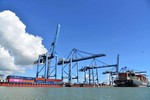 Dịch vụ logistics, vận tải hàng hóa và các ngành kinh tế biển Tân Cảng - Imagen 2