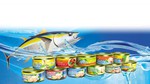Cá ngừ đóng hộp - KTCFOOD - Hình 3