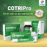 Thực phẩm bảo vệ sức khoẻ hỗ trợ bệnh trĩ COTRIPro - Image 3
