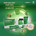Thực phẩm bảo vệ sức khoẻ hỗ trợ bệnh trĩ COTRIPro - Image 4