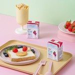Bộ sản phẩm TH TOPKID - 图片 4