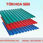 Tôn Hoa Sen - Hình 1