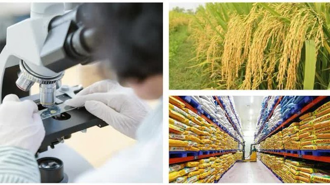 Xây dựng thương hiệu quốc gia để nông sản Việt gia tăng giá trị bền vững