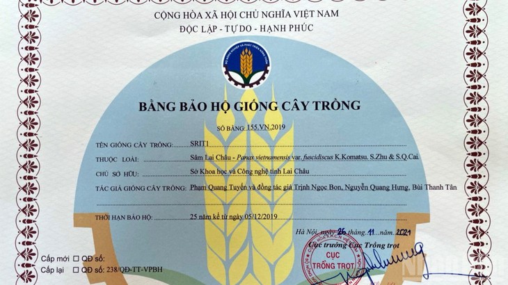 Xây dựng và bảo vệ thương hiệu Sâm Lai Châu - Ảnh 6.