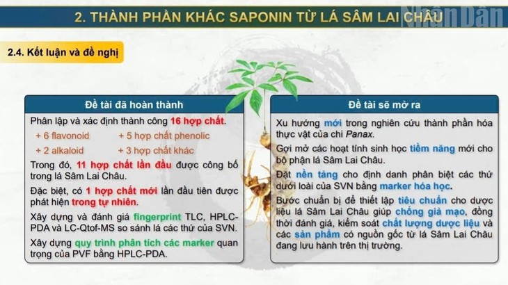 Xây dựng và bảo vệ thương hiệu Sâm Lai Châu - Ảnh 2.