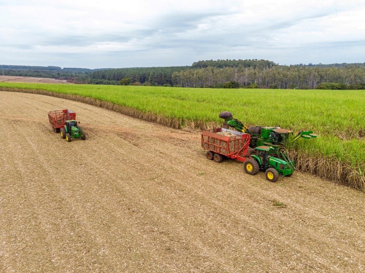 AgriS: Định vị nông nghiệp số trong kỷ nguyên mới - Ảnh 8.