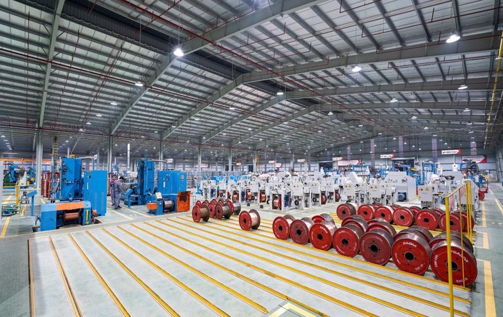 GELEX là doanh nghiệp đầu tiên được VIS Rating nâng triển vọng xếp hạng trong kỳ đánh giá 2025 - Ảnh 3.