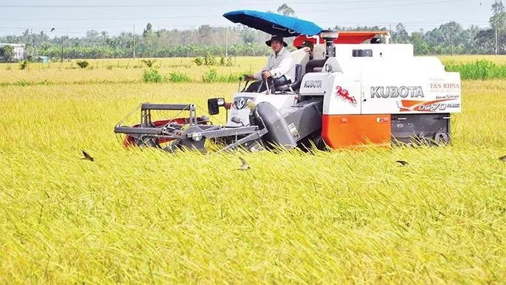Xây dựng thương hiệu quốc gia để nông sản Việt gia tăng giá trị bền vững - Ảnh 3.