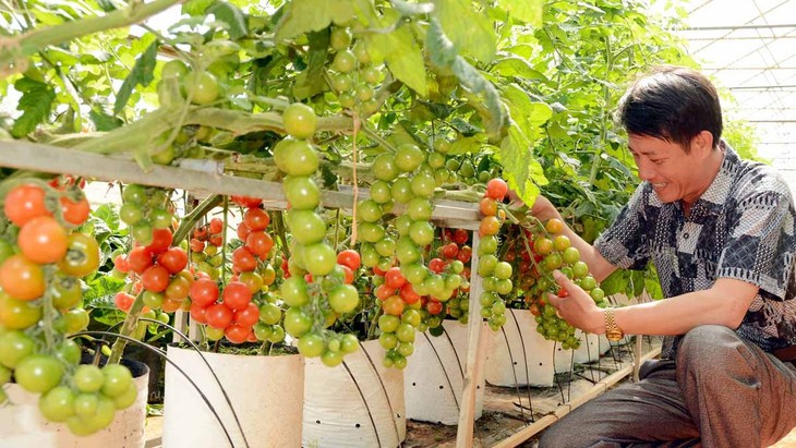 Xây dựng thương hiệu quốc gia để nông sản Việt gia tăng giá trị bền vững - Ảnh 2.