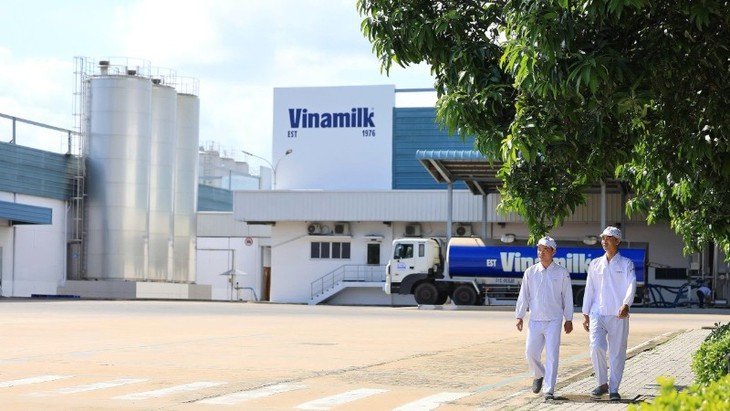 Ba năm liền góp mặt trong Fortune SEA 500: Vinamilk khẳng định vị thế thương hiệu sữa Việt - Ảnh 2.
