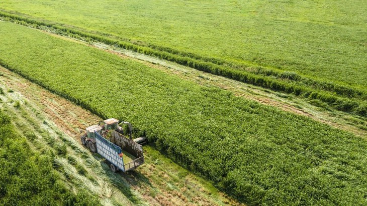 Ba năm liền góp mặt trong Fortune SEA 500: Vinamilk khẳng định vị thế thương hiệu sữa Việt - Ảnh 3.