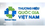 Thương hiệu Việt vươn tầm, khẳng định vị thế toàn cầu