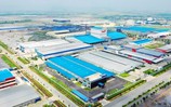 Viglacera đặt mục tiêu doanh thu 15.300 tỷ đồng trong năm 2026