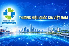 Vietnamese brands scale new heights and cement global standing