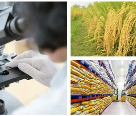 Xây dựng thương hiệu quốc gia để nông sản Việt gia tăng giá trị bền vững