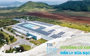 TH true MILK: Từ đồng cỏ xanh đến ly sữa sạch