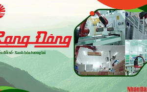 Rạng Đông: Chuyển đổi số, xanh hóa tương lai